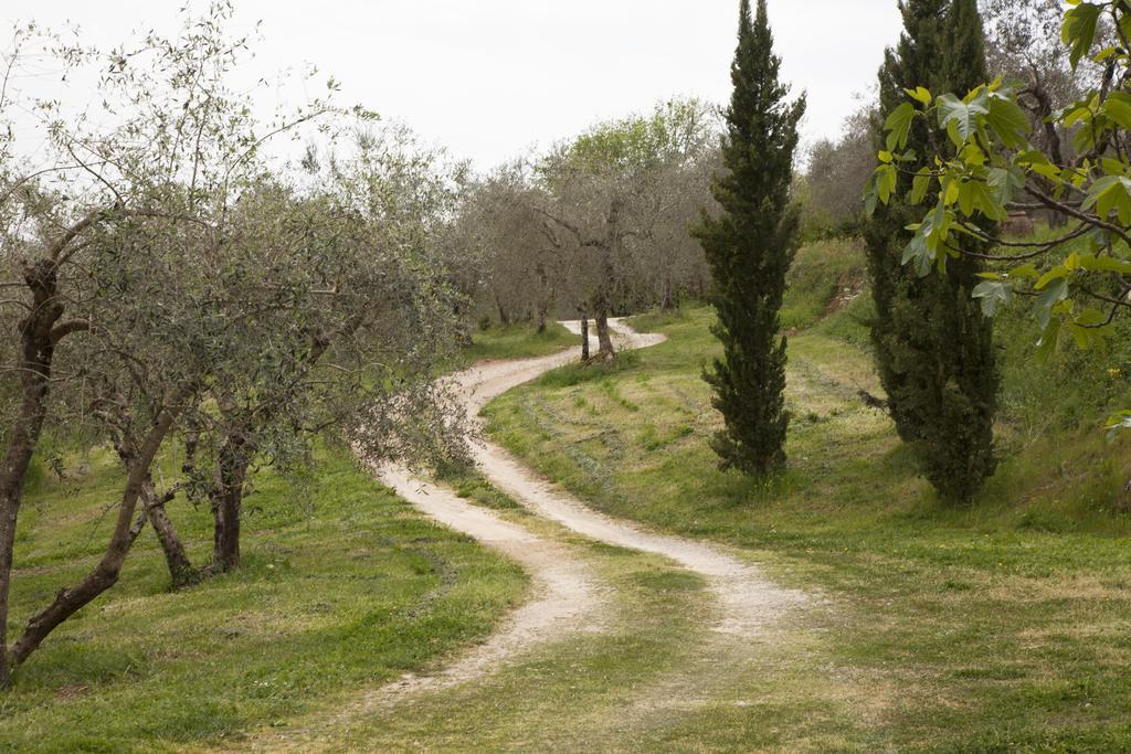 Agriturismo Borgo Personatina Sovicille Eksteriør billede